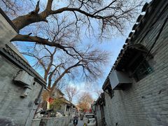 -姚记炒肝店(鼓楼店)