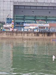 -星海水上乐园(星海广场圣亚店)
