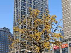 -天虹购物中心(石路店)