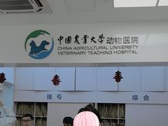 -中国农业大学动物医院