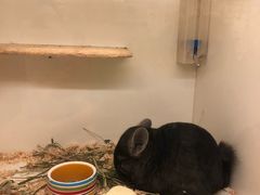 -龙猫仔乐园(惠福东路店)