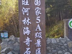 -汤旺河林海奇石景区