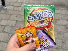 -惠山古镇·寄畅园