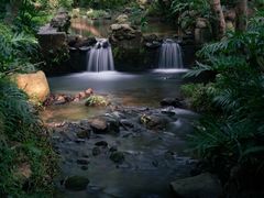 -深圳仙湖植物园-停车场