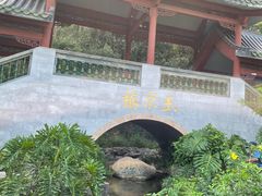 -广州神农草堂中医药博物馆