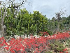 -东莞植物园