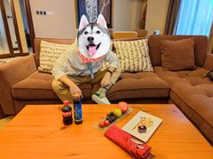 -长白山万达喜来登度假酒店