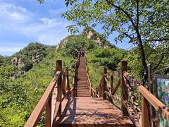 -大岭沟猕猴桃谷风景区