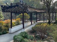 -上海醉白池公园