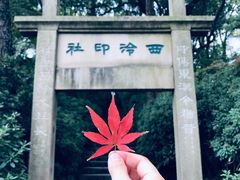 -西泠印社