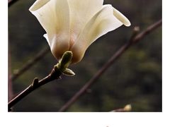 -黔灵山公园
