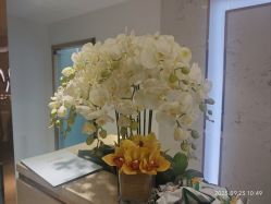 -MIVI野生眉纹绣纹眉