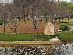 -映月湖公园