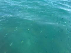 -亚龙湾海底世界