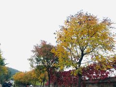 -鬼笑石后山停车场