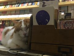 -小时光咖啡馆(开森度假森林店)
