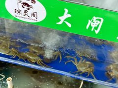 -阳澄湖大闸蟹·琼灵阁牌品牌连锁(吴中总店)