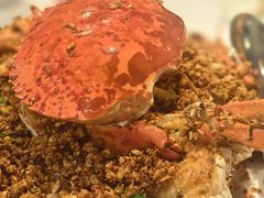 -喜记避风塘炒辣蟹(旗舰店)