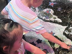 -沈阳海洋探索中心