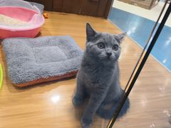 -龟与熊猫宠物公园(南坪店)