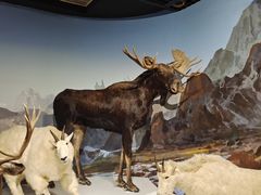 -陕西自然博物馆