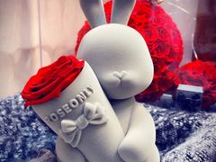 -ROSEONLY诺誓(青岛万象城店)