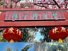 -望江楼公园
