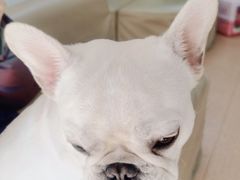 -宠颐生中康贝怡动物医院