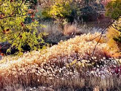 -北京雁栖湖国际会展中心