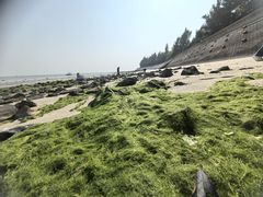 -北海金海湾红树林生态旅游区