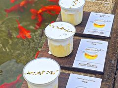-麒麟小院·老九江菜(安平路店)