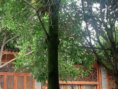 -土桥老街黄鸭子(清淳家园店)