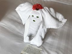 -三亚亚龙湾雅高铂尔曼别墅度假酒店