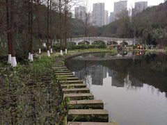 -重庆彩云湖湿地公园