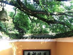 -普陀山风景区-佛顶山