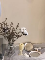 -Fanni美甲美睫皮肤管理