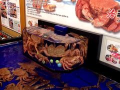 景观位-蟹道乐(道顿堀本店)