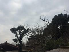 -秀丽东方