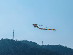 -风云岭森林公园