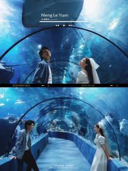 -鱼映像摄影·珍藏级影像品牌