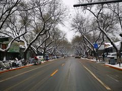 -醉虎传(南锣鼓巷店)