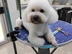 -佳雯宠物医院(金华南路分院)