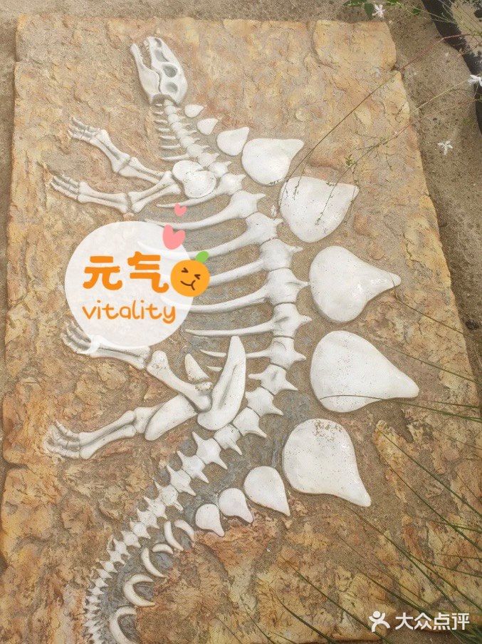 迪士尼附近｜很适合带小一点的孩子打卡的游乐园！！