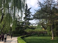 -团结湖公园