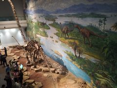 -自贡恐龙博物馆