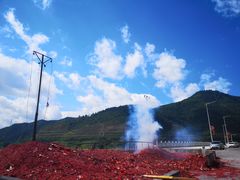 -悦城龙母祖庙
