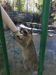 -萌宠亲子动物乐园(槐房万达店)