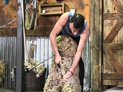 -可伦宾野生动物保护区