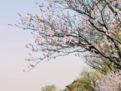 -颐和园