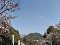 -杭州少年儿童公园